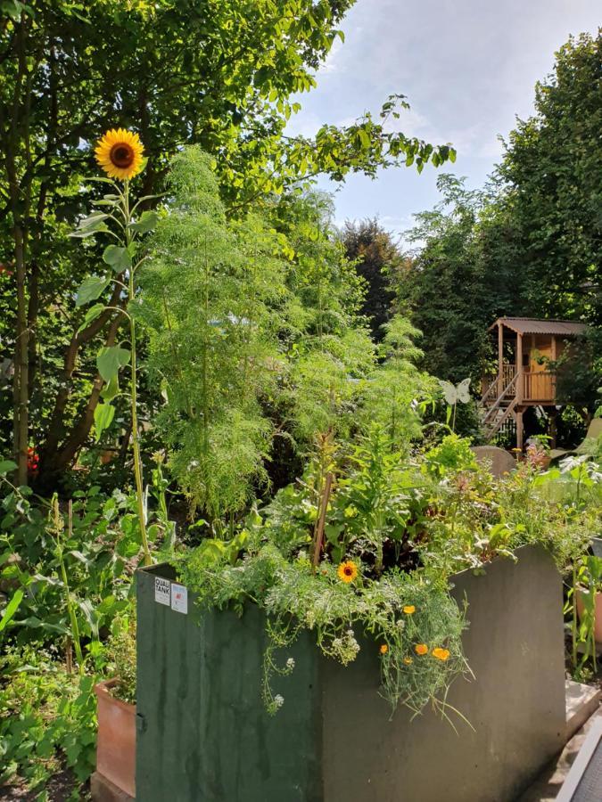 Zentral Gelegene Wohnung Mit Grossem Garten Interlaken Eksteriør bilde
